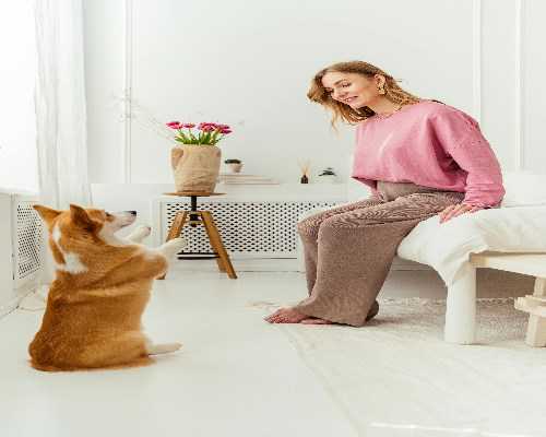 石家庄靠谱供卵试管,劲爆新闻!石家庄卵巢不好可以做试管吗?