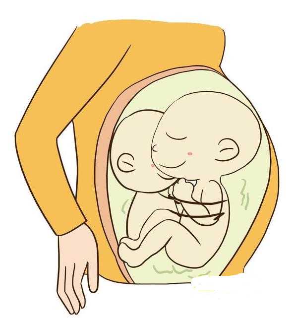 石家庄供卵卵子库,石家庄三代试管婴儿哪家好,2026石家庄试管不需要结婚证的医院哪里最好!试管婴儿石家庄哪个医院做的好!